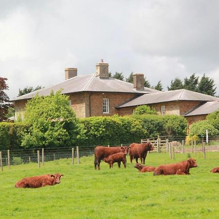 Bed and Breakfast Seawell Towcester Exterior foto