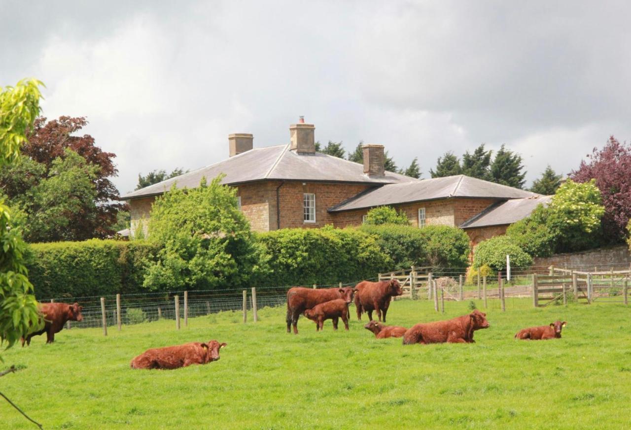 Bed and Breakfast Seawell Towcester Exterior foto